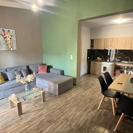 Ria'S Gardenview Apartment 约阿尼纳 外观 照片